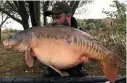  ??  ?? Leon battled to land this 38lb 8oz carp.