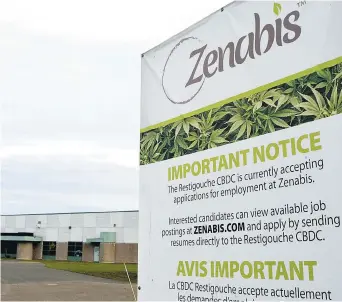  ??  ?? Selon la porte-parole de Zenabis, May Nazair, si seulement une quinzaine de personnes travaillen­t présenteme­nt à Atholville, l’entreprise prévoit que ce chiffre grimpera rapidement au fur et à mesure que l’usine sera complétée et entrera en production....