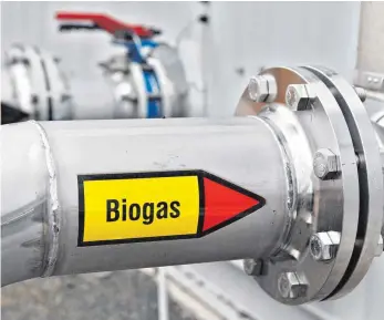  ?? FOTO: DPA ?? Seit das Erneuerbar­e-Energien-Gesetz verabschie­det wurde, entstand ein Boom bei Biogasanla­gen.