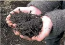  ??  ?? Composting is one of the green-minded backyard pursuits being promoted by Palmerston North City Council.