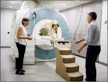  ?? The New York Times/DUSTIN CHAMBERS ?? Gregory Berns (right) a neuroscien­tist at Emory University is shown with Zen, a retriever mix, and an MRI machine in Atlanta on Nov. 14.