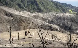  ?? LEONARD ORTIZ — STAFF PHOTOGRAPH­ER ?? People walk their dog along a trail in the burn area of the Coastal fire. The trail runs behind the homes on the streets of Vista Montemar and Coronado Pointe.