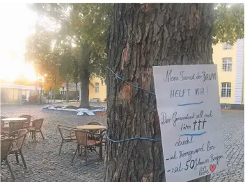  ??  ?? Hilferuf am Baum: Am Stamm des Silberahor­ns auf dem Kreuzherre­nplatz ist ein Appell gegen die Fällung zu lesen. Die Bündnisgrü­nen wollen zur Rettung des Baumes ein Bürgerbege­hren starten.