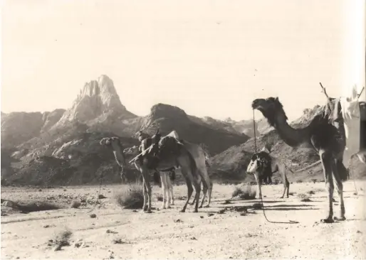  ?? © Le Versant du soleil, Guérin, 1999. ?? Au pied de la Garet El Djenoun, en 1935, durant l’expédi on française qui en effectuera la première ascension, avec un certain Roger FrisonRoch­e comme guide.