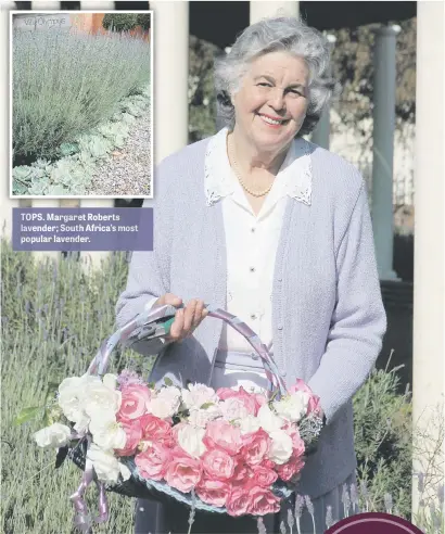  ??  ?? TOPS. Margaret Roberts lavender; South Africa’s most popular lavender. HAPPY. Margaret Roberts amidst the lavender at the Herbal Centre.