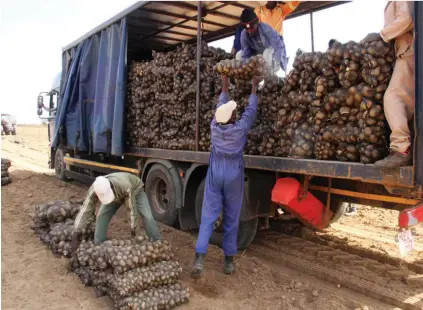  ?? day — Picture: Kudakwashe Hunda ?? MS Farm workers load potatoes bound for Mbare musika produce market into a lorry at Ballyvaugh­an Farm along Shamva Road on Mon