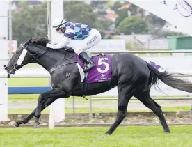  ?? Picture / Trish Dunell ?? Astara could be a sound prospect at Ellerslie tomorrow.