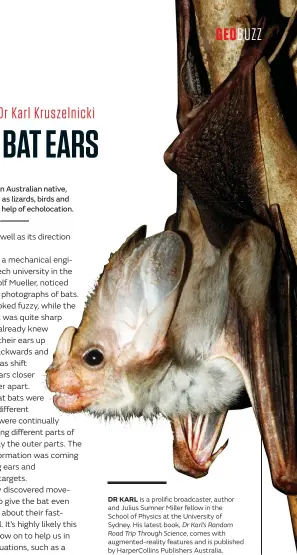  ??  ?? The ghost bat, an Australian native, captures prey such as lizards, birds and mammals with the help of echolocati­on.