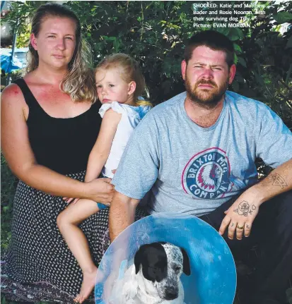  ?? SHOCKED: Katie and Matthew Bader and Rosie Noonan, with their surviving dog Tilly. Picture: EVAN MORGAN ??