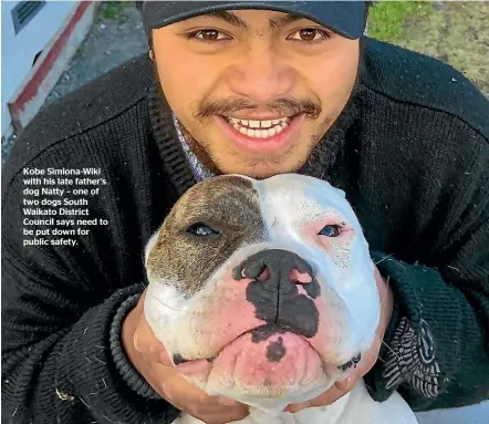  ??  ?? Kobe Simiona-Wiki with his late father’s dog Natty – one of two dogs South Waikato District Council says need to be put down for public safety.