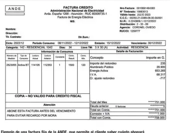  ?? ?? Ejemplo de una factura fija de la ANDE, que permite al cliente saber cuánto abonará mensualmen­te. A la par, se sigue realizando la lectura del medidor para saber cuánta energía usó.