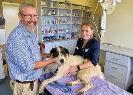  ??  ?? LUCKY POOCH: Matthew Durack with vet Nadia Sternberg check on Mr Durack's dog Lexi who is recovering after being bitten by a snake in Jubilee Park.
