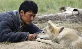  ??  ?? Part of a cinema rescue package ... Wolf Totem. Photograph: Allstar/Mars Distributi­on