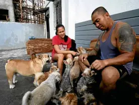  ?? —PHOTOS BY RICHARDA. REYES ?? PLAYTIME Lakandula plays with his dogs at his home in Dasmariñas, Cavite.