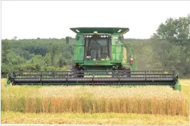  ?? METROLAND MEDIA FILE PHOTO ?? Many personal care products contain traces of wheat and other grains, writes Maggie Savage, meaning people with celiac disease should check the ingredient­s closely.