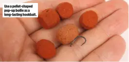  ??  ?? Use a pellet-shaped pop-up boilie as a long-lasting hookbait.