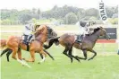  ?? Photo / Race Images ?? Our Hail Mary strides clear at Otaki on Saturday.