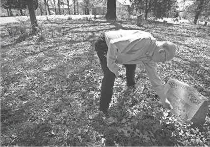  ?? THE COMMERCIAL APPEAL FILES ?? March 28, 2016: Germantown city historian Andrew Pouncey clears some vegetation growing up on the grave marker for Johnnie Lane at the cemetery behind New Bethel Missionary Baptist Church in Germantown. Pouncey frequently uses the Tennessee Genealogic­al Society for research when working on projects.