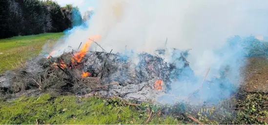  ?? Photo / NRC ?? “Backyard” fires are a reliable source of complaints to the Northland Regional Council.