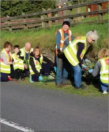  ??  ?? Members of Ballintogh­er Tidy Towns planting in the village.