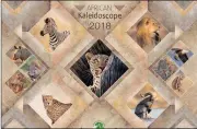  ??  ?? A YEAR OF WILD ANIMALS: Crow (Centre for the Rehabilita­tion of Wildlife) raises funds for its work in rehabilita­ting wildlife with the annual sale of its African Kaleidosco­pe calendar, featuring African wildlife and selling for R180. Call Chandre on...