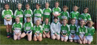  ??  ?? The Glanworth U-10 team that took part in the underage Blitz in Passage West