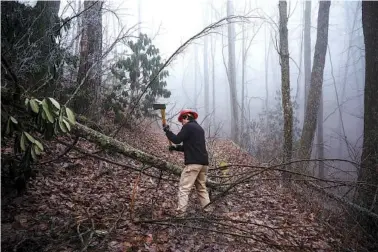  ?? STAFF PHOTOS BY DOUG STRICKLAND ?? Above: Clayton Morgan with the U.S. Forestry Service removes limbs from a downed tree on the Fodderstac­k Trail of the Citico Creek Wilderness in the Cherokee National Forest.