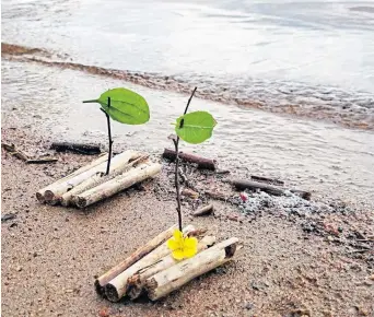  ??  ?? Make some little rafts out of twigs and find some water to race them on – last one to sink wins!