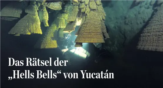  ??  ?? Die glockenför­migen Gebilde in einer mexikanisc­hen Unterwasse­rhöhle werden bis zu zwei Meter groß und sind weltweit einzigarti­g.