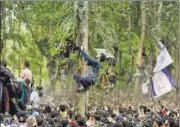  ?? AP PHOTO ?? A man climbs a tree to watch the funeral of Hizbul militant Saddam Padder in Heff village, near Srinagar, on Sunday.