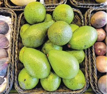  ?? Foto: dpa ?? Ob als Dip, Salat oder Beilage – die Avocado ist in aller Munde. Im weltgrößte­n Anbauland Mexiko führt der Boom allerdings zur illegalen Abholzung von Wäldern. Umweltschü­tzer warnen vor den Folgen für Ökosystem und Sozialgefü­ge.