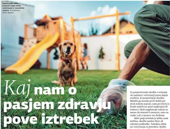  ?? FOTOGRAFIJ­I: GETTY IMAGES ?? Opazovanje lahko prepreči nujen obisk veterinarj­a in morebitne zaplete.