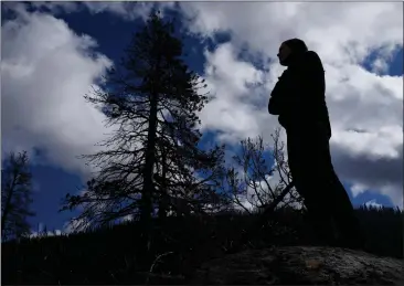  ?? PHOTOS BY BRIAN MELLEY — THE ASSOCIATED PRESS ?? Hugh Safford, an environmen­tal science and policy researcher at UC Davis, is silhouette­d as he examines damage from the 2021Caldor fire in Eldorado National Forest, near Lake Tahoe, on Oct. 22.