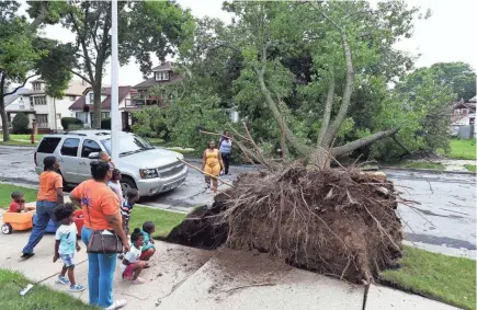  ?? ANGELA PETERSON/MILWAUKEE JOURNAL SENTINEL ?? People look Wednesday at a tree that fell across a street onto a parked car near North 54th and West Locust streets during Tuesday night’s storm.