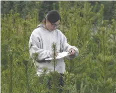  ??  ?? Graduate student Erin Wepruk assists Lakehead University geology professor Dr. Amanda Diochon with her research into what makes soil healthy.