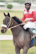  ??  ?? UNCLE FRANK (Omar Walker) walking back to the winners’ enclosure after capturing last Saturday’s ninth race at Caymanas Park.