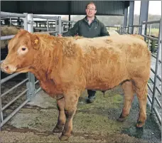  ??  ?? Alan MacFadyen from Bragleenmo­re Farm, Scammadale, won the shepherds competitio­n with his Charolais calf.