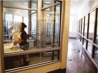  ?? Houston Chronicle ?? BARC employee Candy Cruz plays with a shelter dog in BARC’s adoption center, which opened last summer. Four high school girls are hosting a Bark for BARC Pet Walk on April 30 at Rice University to raise funds for a shelter expansion.