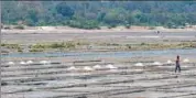  ?? HT ?? Worker on the salt flats in Villupuram, Tamil Nadu. The salt is separated in the pits and dried in heaps under strong sunshine