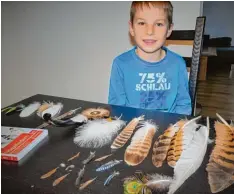  ?? Foto: Zita Schmid ?? Sammler aus Leidenscha­ft: Der siebenjähr­ige Jochen Ganser sammelt mit Leiden schaft Vogelfeder­n und kann sie auch bestimmen.