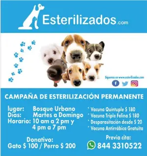  ??  ?? Esteriliza­ción a perras y gatas: