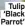  ?? ?? Tulip ‘Black Parrot’