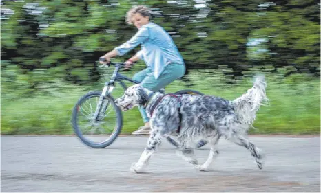  ?? FOTO: DPA ?? Am besten ist es, Hunde frei neben dem Fahrrad herlaufen zu lassen.