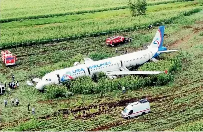  ?? AP ?? The Russian Ural Airlines’ A321 plane in a cornfield near Ramenskoye, outside Moscow, after an emergency landing.