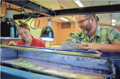  ?? PHOTOS BY CLAIRE CAULFIELD/KJZZ ?? Whitney Heuring and Bradley Poynter are part of the Phoenix Zoo’s conservati­on team. Poynter says he prefers turtles to snails, but Heuring calls herself a “mollusk maniac.”