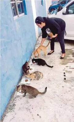  ??  ?? RUTIN Norizah memberi makan kucing dan anjing jalanan pada waktu pagi dan petang.