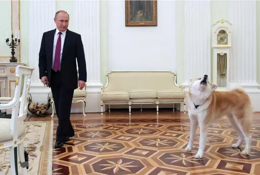  ??  ?? Impérial. Le président russe au Kremlin, le 7 décembre 2016.