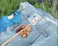  ??  ?? A makeshift memorial had been set up on a farm field along Cashdollar Road in Forward.