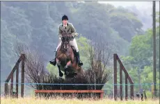  ??  ?? Roanna Clark and Local Hero at the keyhole brush fence.