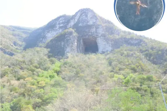  ?? RAÚL PALACIOS ?? Según la leyenda, El Hombre Pájaro se refugia en la Cueva de los Murciélago­s, ubicada cerca de la presa La Boca.